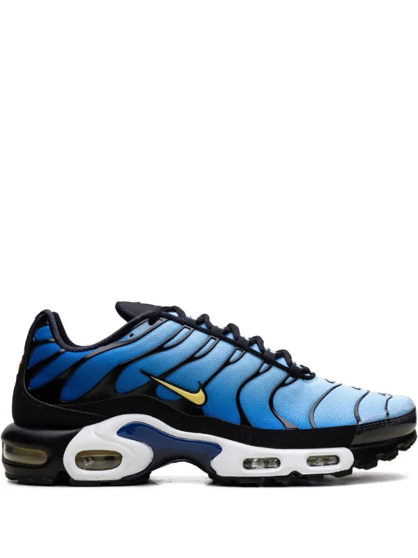 Nike TN Air Max